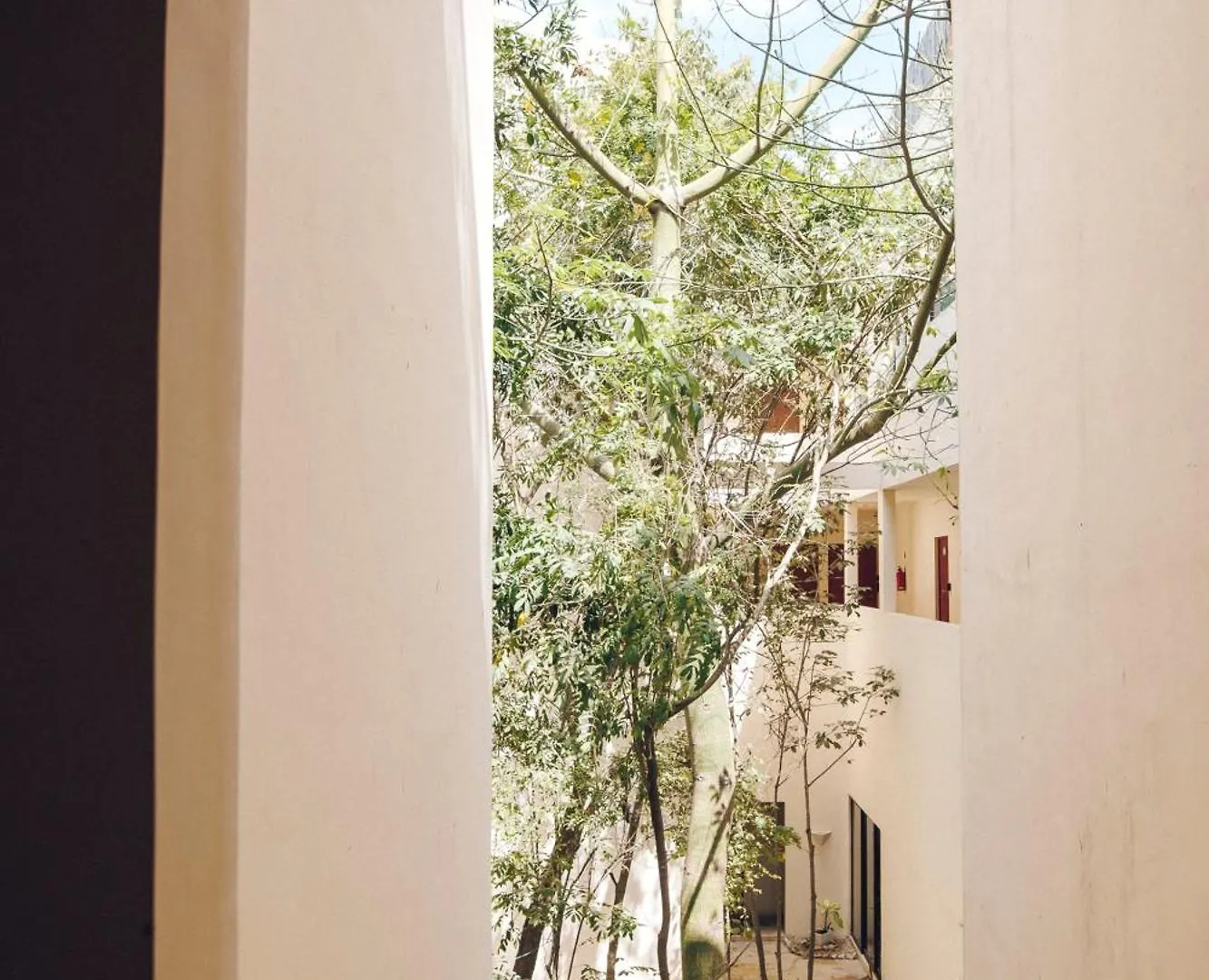 2 Bikes Free Exlusive Building Close To The Sea Tulum Holiday home
