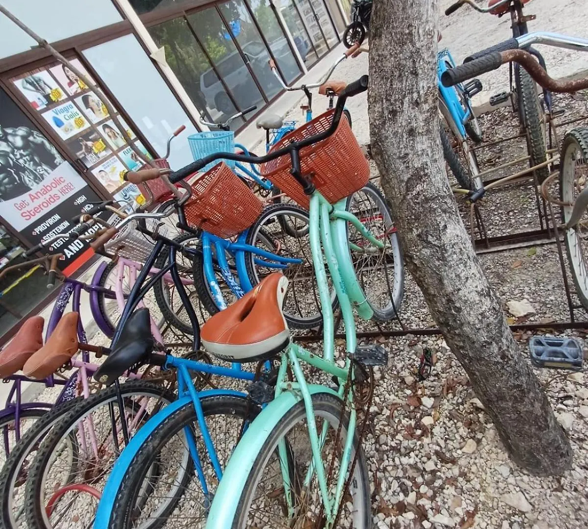 2 Bikes Free Exlusive Building Close To The Sea Tulum Holiday home