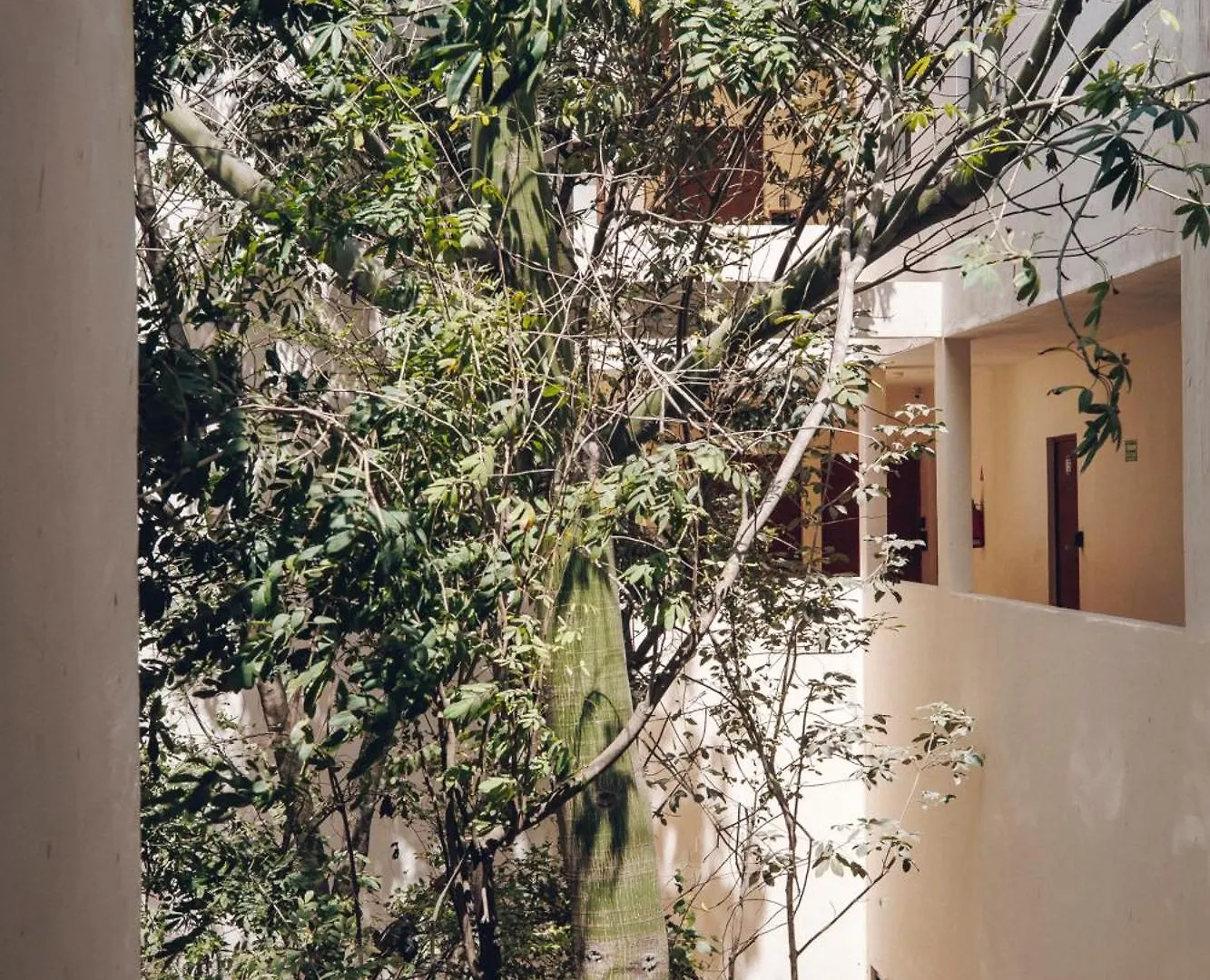 Holiday home 2 Bikes Free Exlusive Building Close To The Sea Tulum